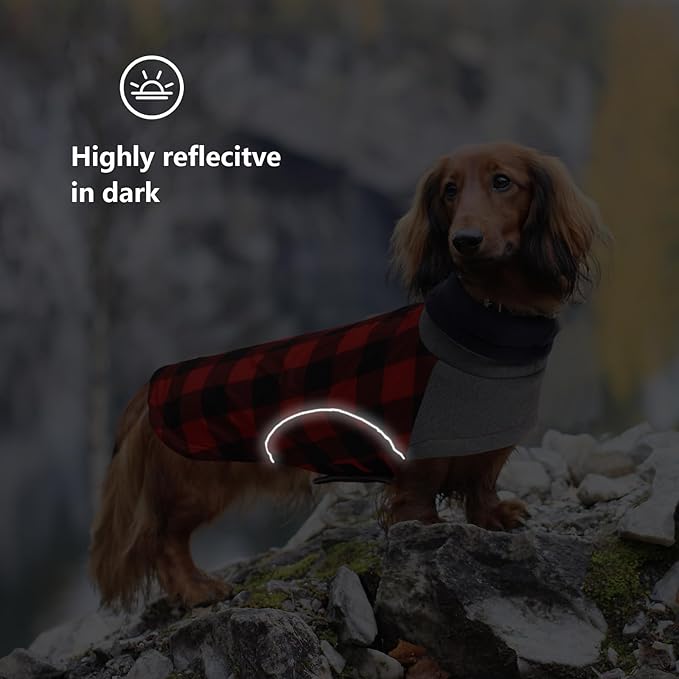 Dog Winter Coat,Dachshund Clothes,Waterproof Miniature Dachshund Jacket,Small Dogs Coat with Harness Hole,Dachshund Jumper with Turtle Neck,Pet Dog Clothes British Style-Red Plaid-L