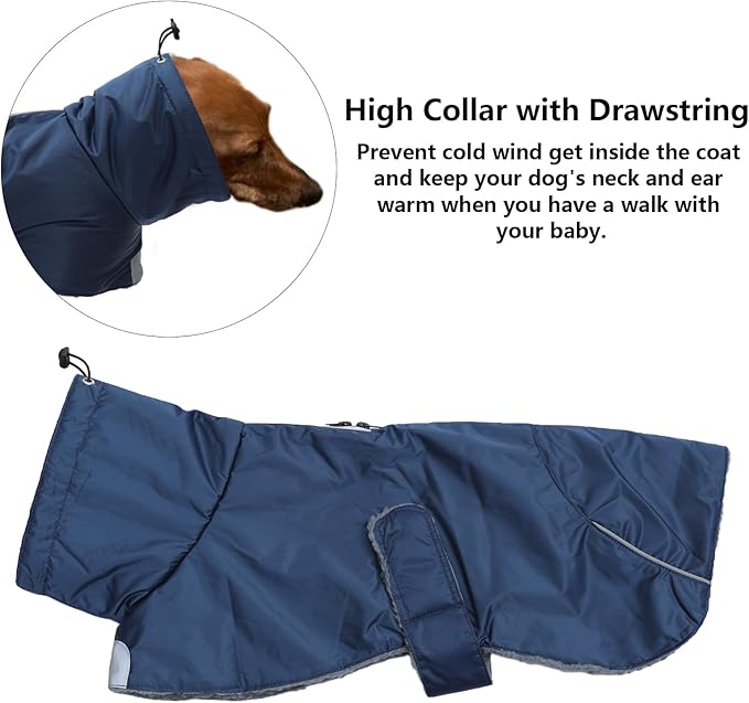 Dachshund Coats Waterproof, Perfect for Dachshunds, Sausage, Weiner Dog Winter Coat with Padded Fleece, Puppy Snowsuit with Adjustable Bands and High Vis Reflective Trim - Navy - M