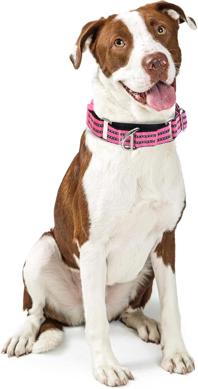 Martingale Collar for Dogs -Reflective Nylon Heavy Duty No Slip Choke Dog Collar with Padded Comfort Quick Release Buckle for Training, Walking & Overexcited Pulling Pink L