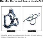 QQPETS Dog Harness Leash Set Adjustable Heavy Duty No Pull Halter Harnesses for Small Medium Large Breed Dogs Back Clip Anti-Twist Perfect for Walking (M(19"-26" Chest Girth), Bone)