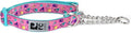 RC Pets 1" Martingale Training Dog Collar, Large, Memphis