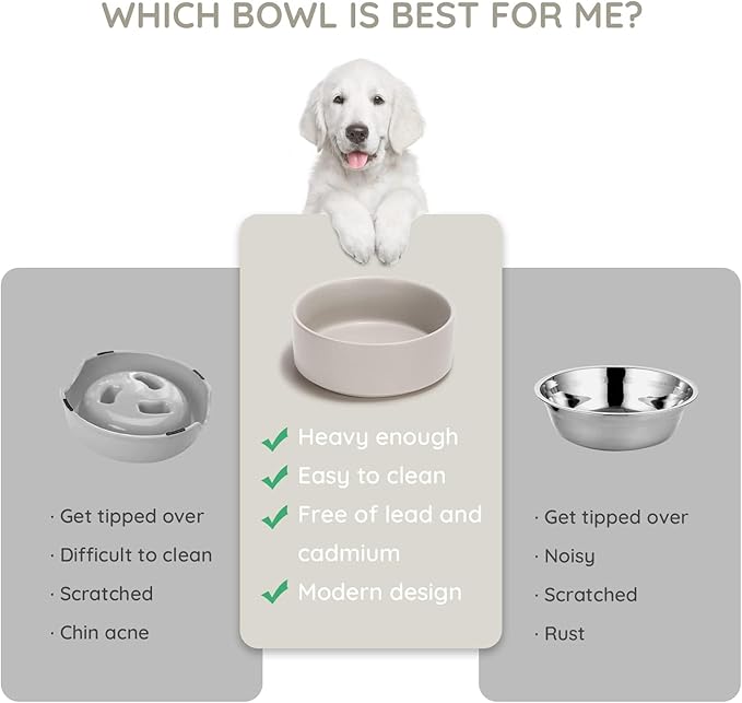 SPUNKYJUNKY 42OZ Ceramic Dog and Cat Bowl, Modern Cute Weighted Food Water Bowl for Replacement Gray (1 Pack)