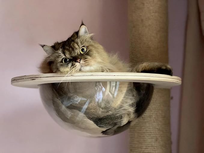 Transparent Space Capsule Dome Cat Bed for Floot to Ceiling Cat Tree Parts, Dia 11.8 Inches