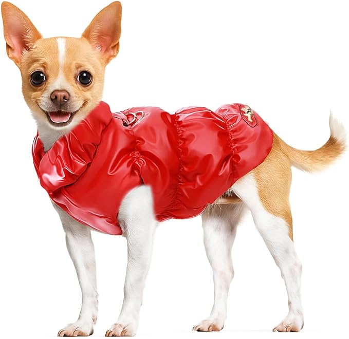 Winter Warm Dog Jacket for Small Medium Dogs Cat Cold Weather Coats with Harness Paded Dogs Fleece Vest Waterproof Windproof Dog Snow Jacket Pet Puppy Clothes (Red,M)