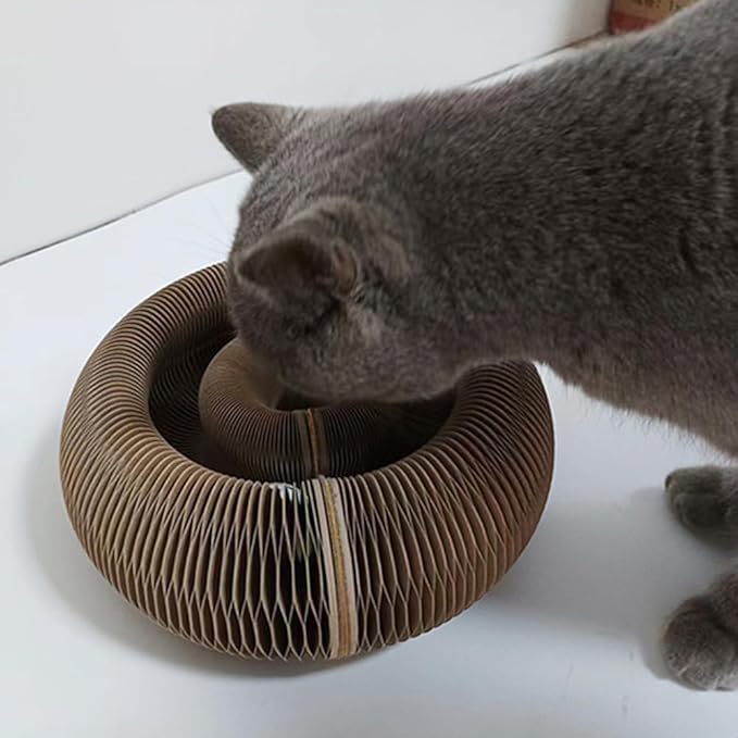 Cat Toy, Cat Scratcher, Reversible Infinity Style Magic Organ, Scratch-Resistant and Abrasion-Resistant, Foldable Cat Toys for Indoor Cats