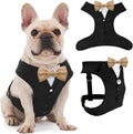 AVERYDAY Dog Tuxedo for Wedding Outfit, Dog Suit and Tie Costumes for Birthday, Halloween, Cosplay, Christmas Party, Pet Formal Wear with Bowtie, Tux for Medium Large Dogs, Bulldog, Labrador, Husky