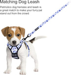 Petmolico No Pull Dog Harness and Leash Set, No Choke 4 Leash Attchments Easy Control Handle Soft Padded Reflective Vest Dog Harness for Medium Dog Breed, Daisy Medium