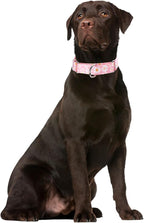 Martingale Collar for Dogs, No-Slip Escape Proof Choke No Pull Cinch Soft Nylon Dog Training Collars Adjustable for Small Medium Large Breed Pet Dogs, Pink Daisy M
