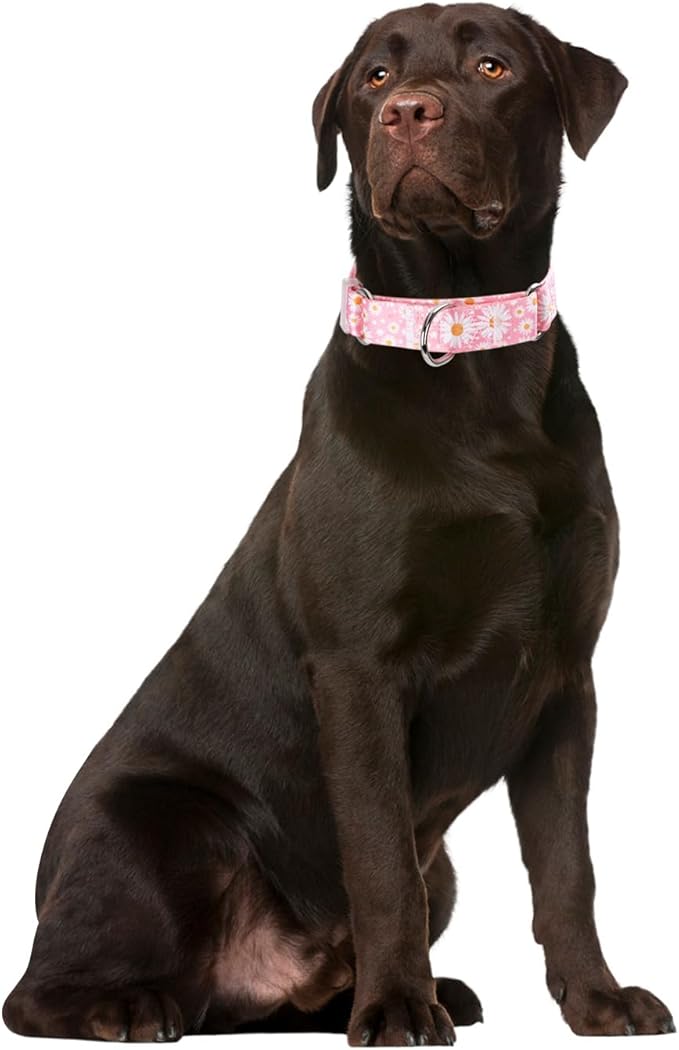 Pink Daisy Martingale Collar for Small Dogs, No-Slip Escape Proof Choke No Pull Cinch Soft Nylon Training Girl Puppy Collars Adjustable for Small Medium Large Breed Female Pet Dogs, S