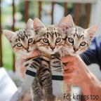 4 PCS Cat Mittens to Prevent Scratching,Mesh Breathable Cat Shoes,Adjustable Cats Anti Scratch Gloves,Suitable for Cats When Bathing and Nail Trimming(M,Grey)