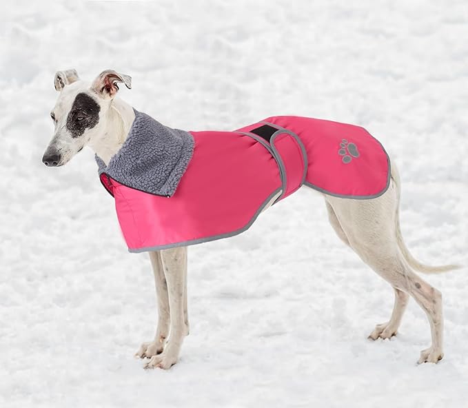 Geyecete Dog Winter Coat Geyecete Greyhound Raincoat Fabric with Lamb Velvet Inside Outdoor Dog Apparel with Adjustable Bands for Medium, Large Dog-Pink-M