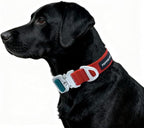 Heavy Duty Tactical Dog Collar,Metal Buckle Quick Release Collar for Large Dogs,1700 LB Strength Tested,Dual Color Nylon Collar for Walking,Training & Hunting