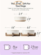 LE TAUCI PET Dog and Cat Bowl Set with Acacia Wood Stand - 2 Cup Ceramic Puppy Bowls for Cats &Small Dogs, Dual Food and Water Bowls with Weighted Non-Slip Base, Lines+Dot