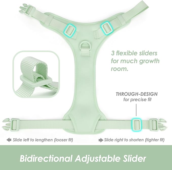 No Pull Dog Harness, Puppy Vest with Front Clip for Small Medium Large Sized Dog(Light Green,XL)