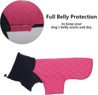 Geyecete Dachshund Coat,Dachshund Winter Coat,Warm Waterproof Windproof, High Neckine String Holes Miniature Dachshund Jacket for Small Dog-Pink-XS