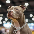 Dog Choker Collar,Chain Dog Collar Stainless Steel Training Slip P Link Collars Martingale Puppy Choke Chains for XXS XS Small Medium Large Breed Dog, Silver M