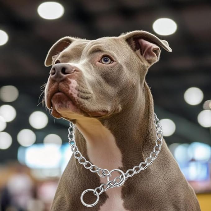 Choker Collar for Dogs,Chain Dog Collar Stainless Steel Martingale Collars Training Slip P Link Puppy Choke Chains for XXS XS Small Medium Large Breed Dog, Silver S