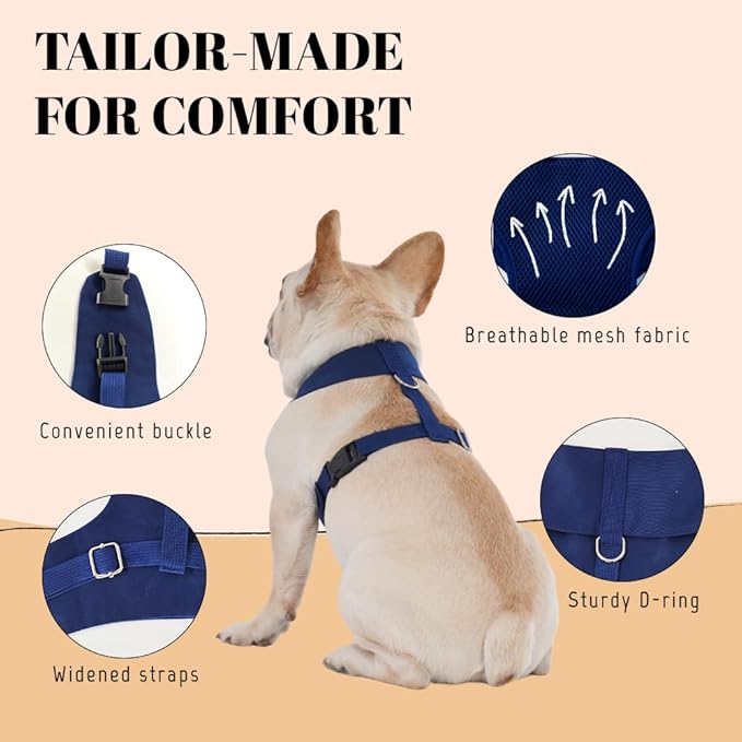 AVERYDAY XS Pet Tuxedo Harness, Wedding Costume Outfit for Small Dogs, Slim Cats and Tiny Pets with 9.1" Neck, 14.2-18.9" Chest, 9" Max Head Girth, Formal Suit Costume for Mini Breeds