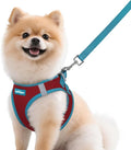 rabbitgoo Dog Harness Small Sized and Leash Set, Step-in Breathable Pet Harness, Soft Walking Reflective Puppy Vest for Small Dogs, Red & Teal, M