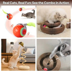 Kitty Kurlz Cat Toy - Interactive Cat Scratcher Set with Flexible Cardboard Accordion, Plush Mouse & Magic Organ Toy - 3-Pack Entertainment Bundle for Indoor Cats