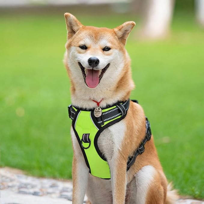 PoyPet No Pull Dog Harness, Reflective Comfortable Vest Harness with Front & Back 2 Leash Attachments and Easy Control Handle Adjustable Soft Padded Pet Vest for Small to Large Dogs (Green,M)