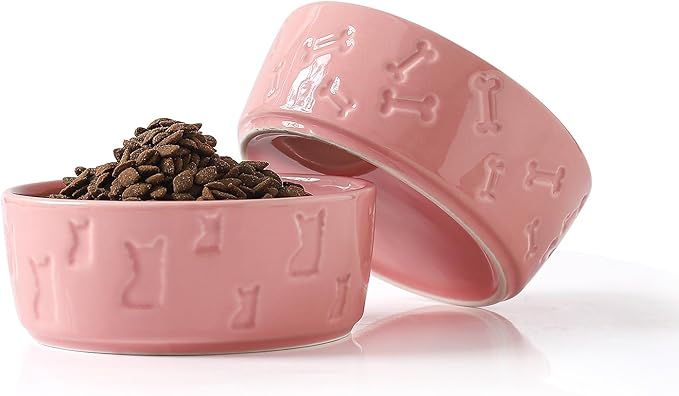 Set of 2 Pink Ceramic Dog Bowls for Food and Water, 5 Inch Wide Cute Pet Dishes for Small Size Dogs/Puppy
