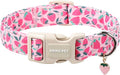 ARING PET Strawberry Dog Collar, Cute Spring Summer Pink Puppy Pet Collars for Small Medium Large Female Girl Dogs-L