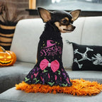 CuteBone Halloween Dog Sweater Dress Spooky Embroidery Turtleneck Puppy Sweater with Bowtie Harness Hole Pullover Winter Dress for Medium Dogs