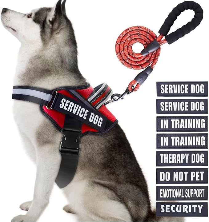 Service Dog Vest Harness and Leash Set, Animire in Training Dog Harness with 10 Dog Patches, Reflective Dog Leash with Soft Padded Handle for Small, Medium, Large, and Extra-Large Dogs (RED,XL)