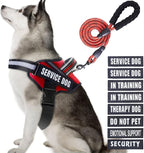 Service Dog Vest Harness and Leash Set, Animire in Training Dog Harness with 10 Dog Patches, Reflective Dog Leash with Soft Padded Handle for Small, Medium, Large, and Extra-Large Dogs (RED,XL)
