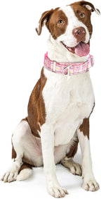 Martingale Collar for Dogs - Pink Daisy Reflective Nylon, No Slip Choke Heavy Duty Collar with Quick Release Buckle & Padded Comfort - Safe Fit for Training & Walking Large