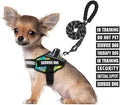 Service Dog Vest Harness and Leash Set, Animire in Training Dog Harness with 10 Dog Patches, Reflective Dog Leash with Soft Handle for Small, Medium, Large, and Extra-Large Dogs (Multi-Colored,S)
