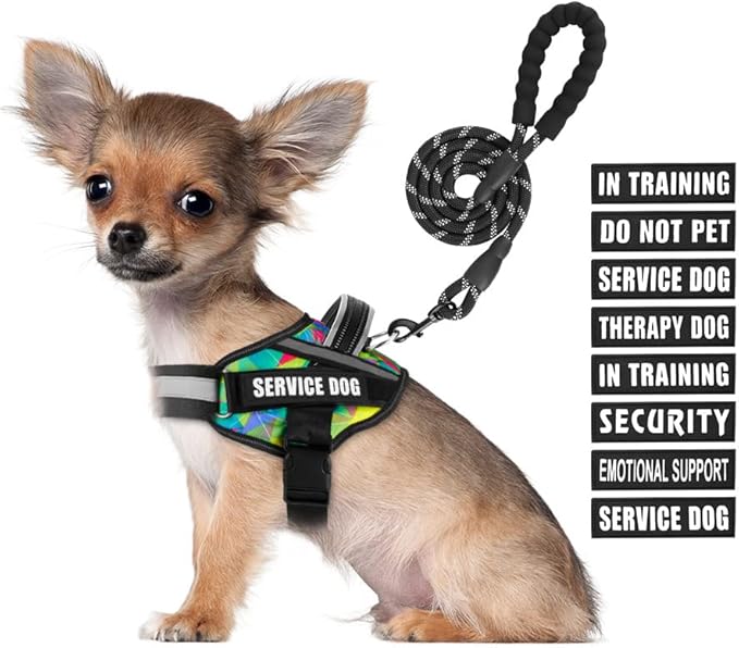 Service Dog Vest Harness and Leash Set, Animire in Training Dog Harness with 10 Dog Patches, Reflective Dog Leash with Soft Handle for Small, Medium, Large, and Extra-Large Dogs (Multi-Colored,S)