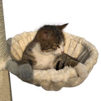 SHENGOCASE 14.6" Beige Basket Lounger Hammock Bed for Cat Tree Tower Replacement, 5-Pack Hanging Ball Toys with Elastic Strings, Cat Tree Accessories Hammock Attachment (Large Beige)