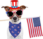 ADOGGYGO American Flag Dog Bandana, Multiple Sizes Offered, Triangle 4th of July Bandanas for Medium Large Dogs (Large)