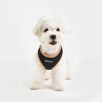 Puppia Soft Harness II - Black - L
