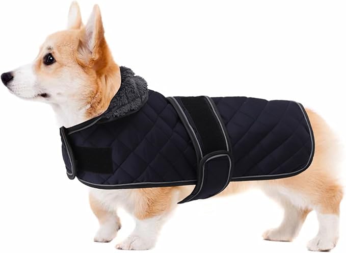 Geyecete Corgi Sweater for Dogs Warm Thermal Quilted Corgi Coat,Dog Winter Coat with Warm Fleece Lining,Outdoor Corgi Clothes Dog Apparel Navy-S