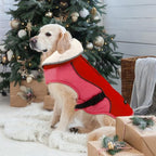 EMUST Dog Coat Winter, Warm Dog Snow Jacket for, Adjustable Small/Medium/Large Dogs Coat/s for Winter, New Orange, L