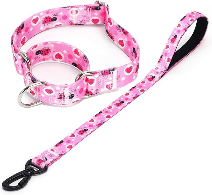 Martingale Collar and Leash Set, Premium No Slip Martingale Collar for Dogs Medium Large, Girl Dog Collars Training (NO7, L)