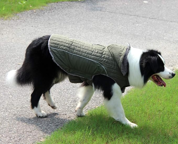 Fleece Dog Hoodie for Small Dogs Super Warm Puppy Jacket for Cold Winter Dog Coats,Green S