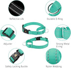 Plutus Pet Reflective Martingale Collar with Buckle - Durable and Adjustable Training Collar for No Pulling, Dog Choker Collar for Small Medium Large Dogs, Teal, M