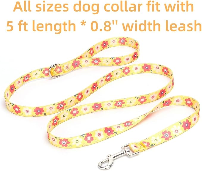 Dog Collar with Leash Airtag Holder Case Set - Dog Collars for Male Female Boy Girl Puppy X-Small Small Medium Large Dogs Walking Running Training - Orange Daisy/L