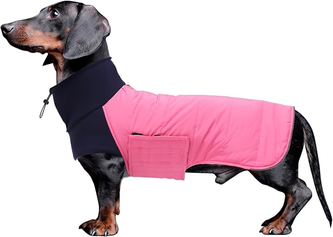 Dachshund Dog Coats Jacket fit for Dachshunds Corgi Weiner Reversible Winter Coat Padded Cotton Lining high Collar Dog Suit in Autumn Winter - Pink - S
