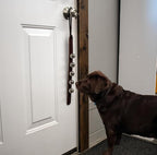 Hanging Door Bells – Handmade Sleigh Bells & Dog Training Bells for Potty Training, Holiday Décor, and Multi-Purpose Door Use (Havana - Brass Bells)