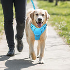 BARKBAY No Pull Dog Harness Large Reflective Dog Harness with Front Clip and Easy Control Handle for Walking Training Running with ID tag Pocket(Blue,L)