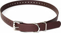 Educator Biothane Dog Collar, Waterproof, Odorproof, Metal Buckle and D Ring, Adjustable for Custom Fit, Cool and Comfortable, for Small, Medium, or Large Dogs, 3/4-Inch, Brown