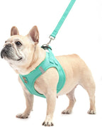 PUPTECK Dog Harness and Leash Set for Small Medium Dogs No Pull Step-in Soft Mesh Puppy Cat Vest Harnesses Reflective at Night, Denim Green XS
