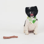 SPOT Bam-Bones Plus Branch -Bamboo Fiber & Nylon, Durable Long Lasting Dog Chew for Aggressive Chewers – Great Toy for Adult Dogs & Teething Puppies Under 60lbs, Non-Splintering, 5.75in, Beef Flavor