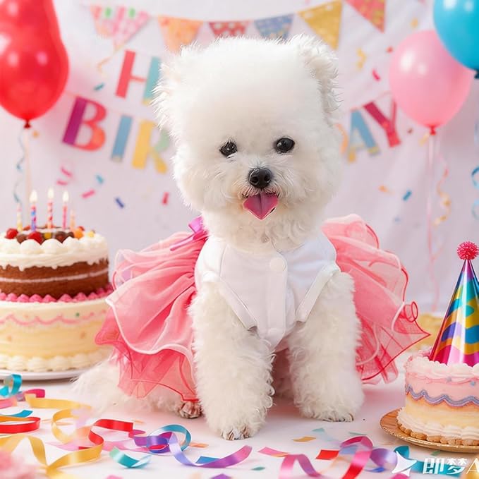 Dog Birthday Dress with Cake Pattern & Bowknot Girl Puppy Clothes for Small Dog Cat Birthday Outfit with Tutu Skirt Party Tulle Pet Apparel (Fuchsia, Small)