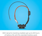 Garmin Alpha TT 25 GPS Dog Tracking and Training Collar